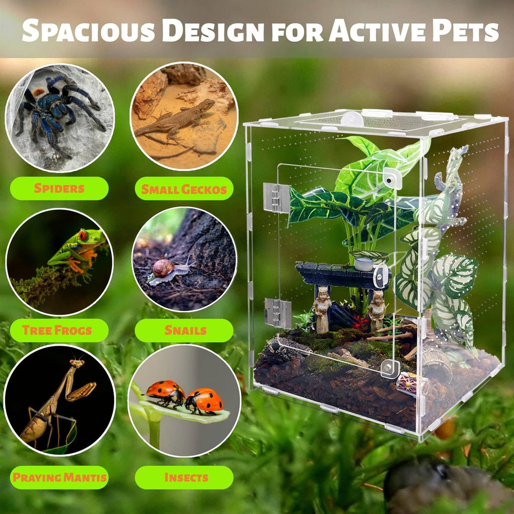 Transparent acrylic jumping spider enclosure with terrarium interior for active pets
