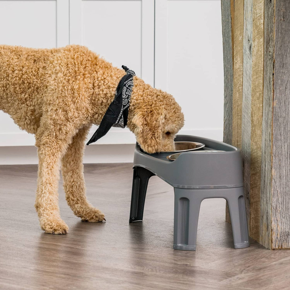 Grey elevated dog bowl stand with stainless bowls beside a small dog