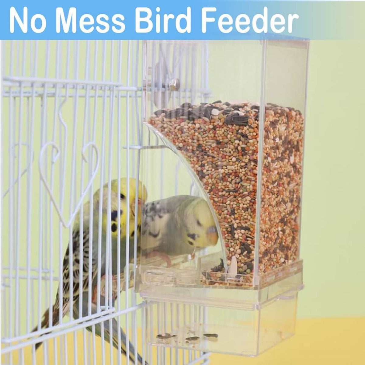 Clear cage bird feeder filled with mixed seeds, round metal knob, budgie inside