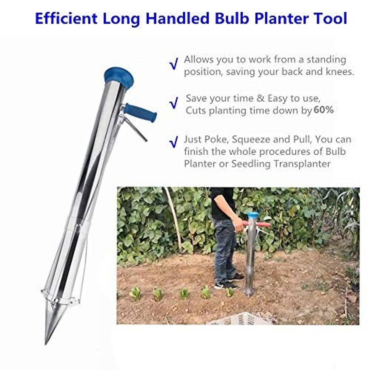 Long handled bulb planter tool with blue handle bar and pointed stainless-steel spike