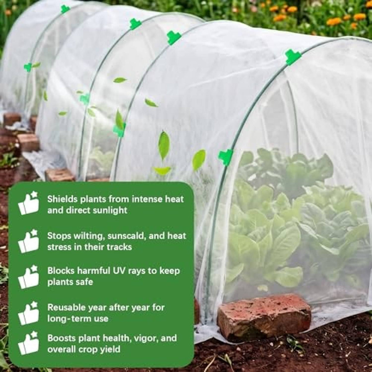 White plant protection greenhouse cover with green clips, shielding leafy garden plants.