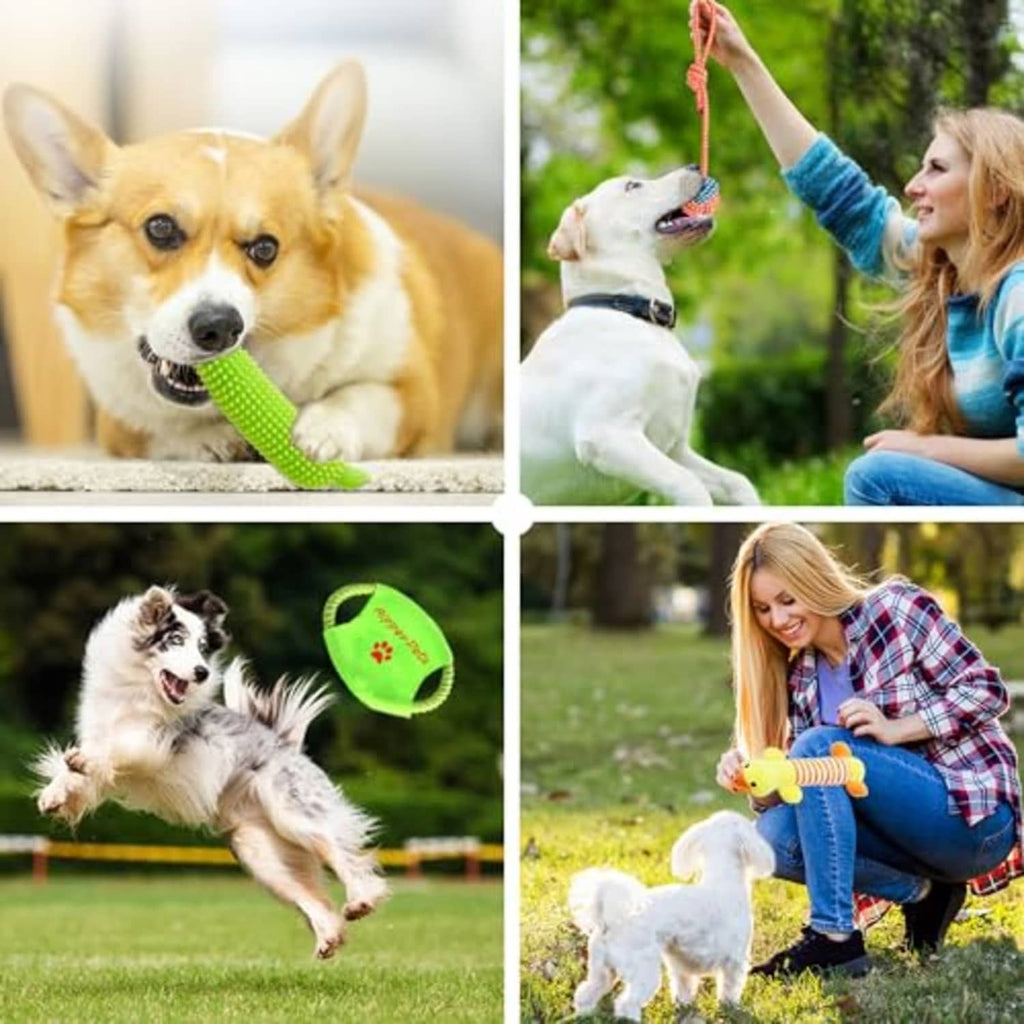 Green textured chew toy and braided tug rope toys with small dogs outdoors