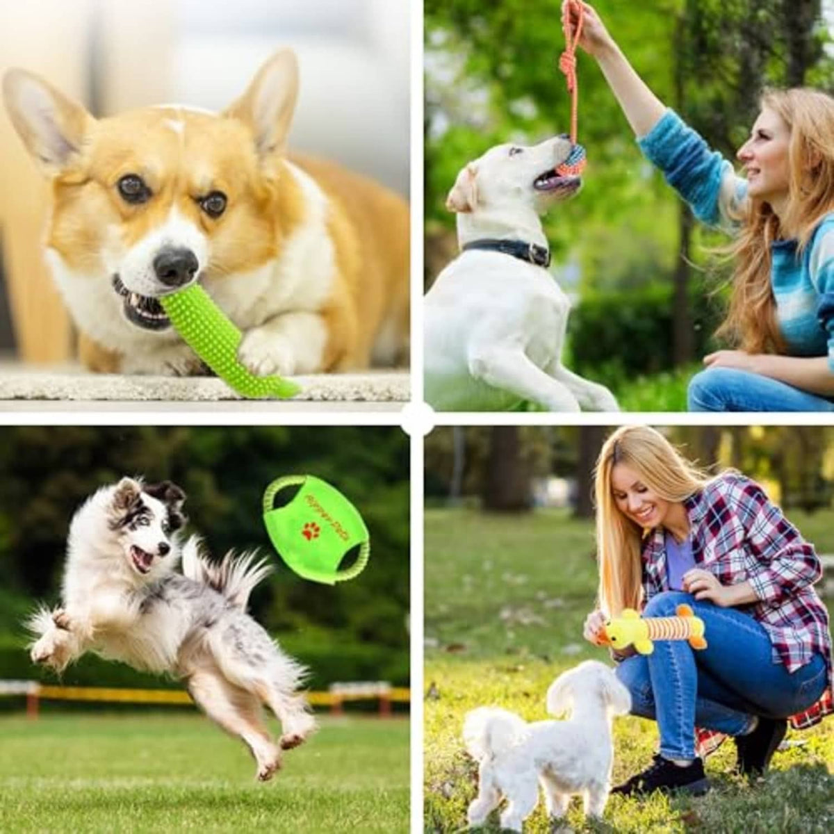 Green textured chew toy and braided tug rope toys with small dogs outdoors