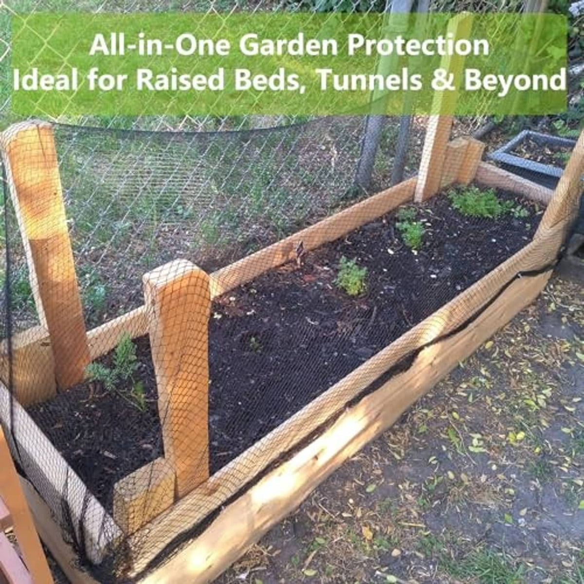 Diamond-mesh bird netting enclosure over a raised garden bed with soil and plants