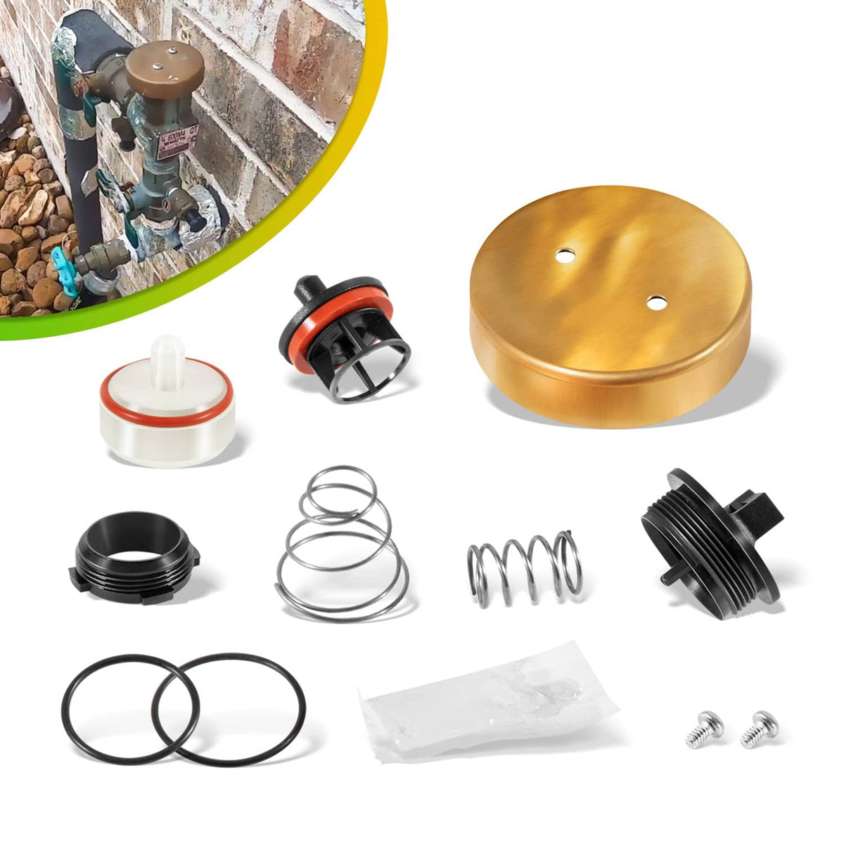 Pressure vacuum breaker repair kit parts: brass cap, springs, seals, O-rings, screws