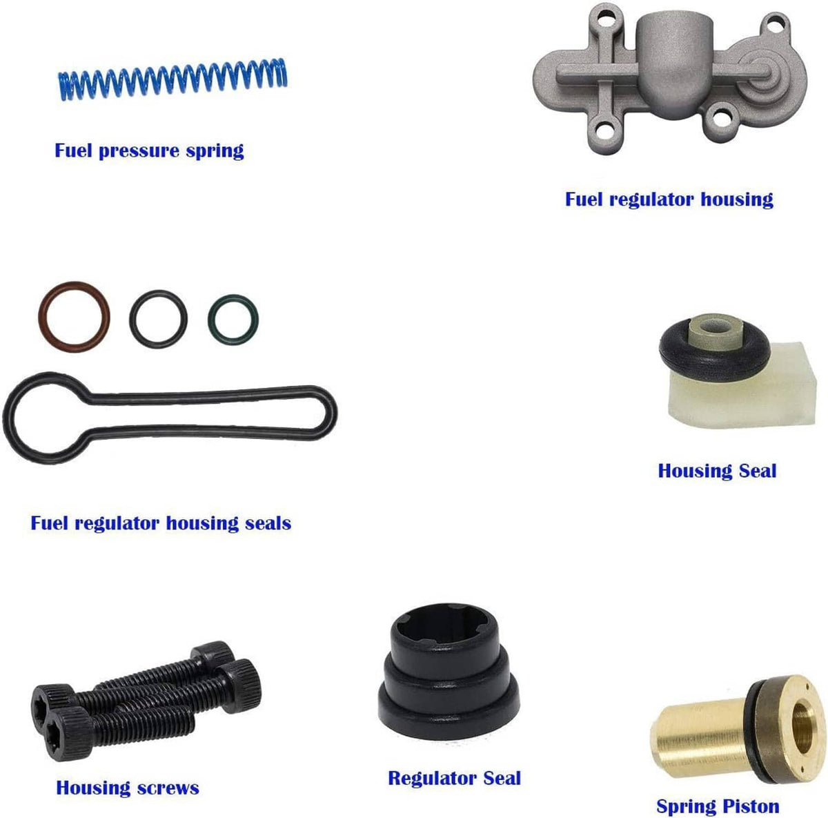 Spring fuel pressure regulator with seals, housing, screws, and spring piston