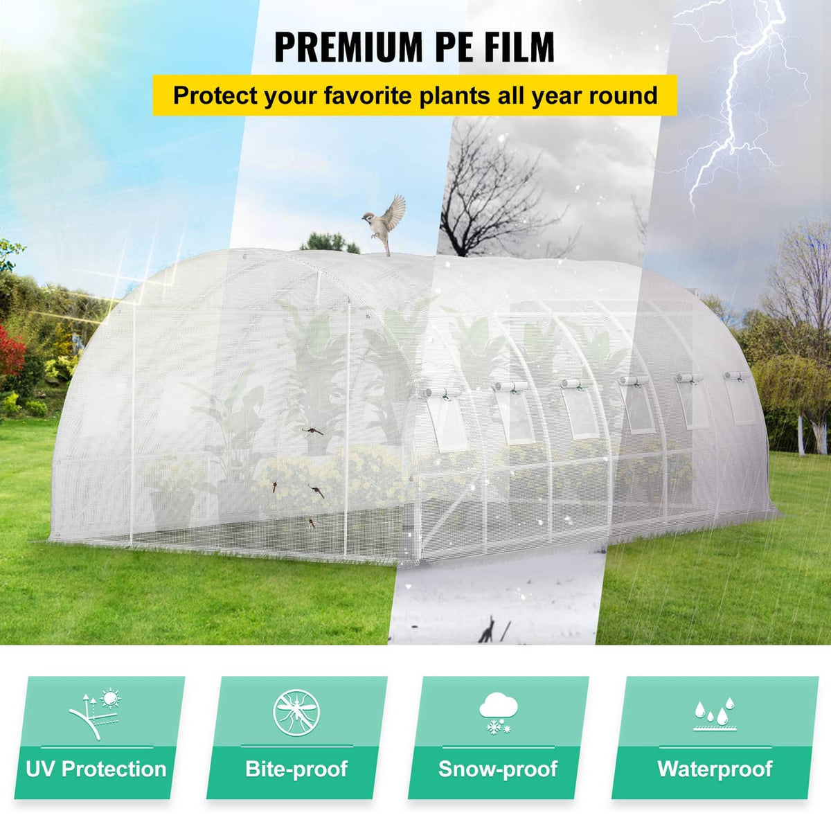 Tunnel greenhouse with white cover and arched galvanized frame, full structure view