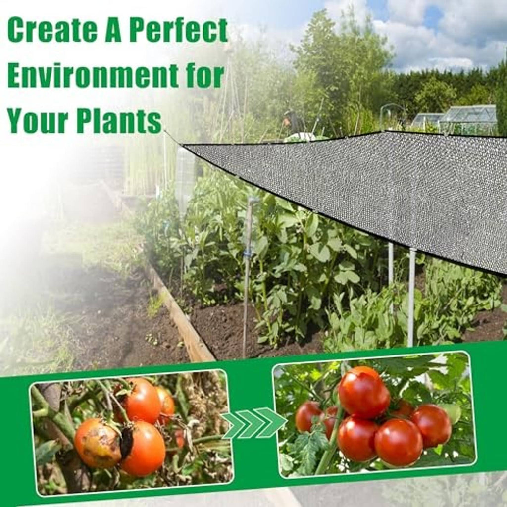 Gray mesh shade cloth canopy stretched over garden plant rows