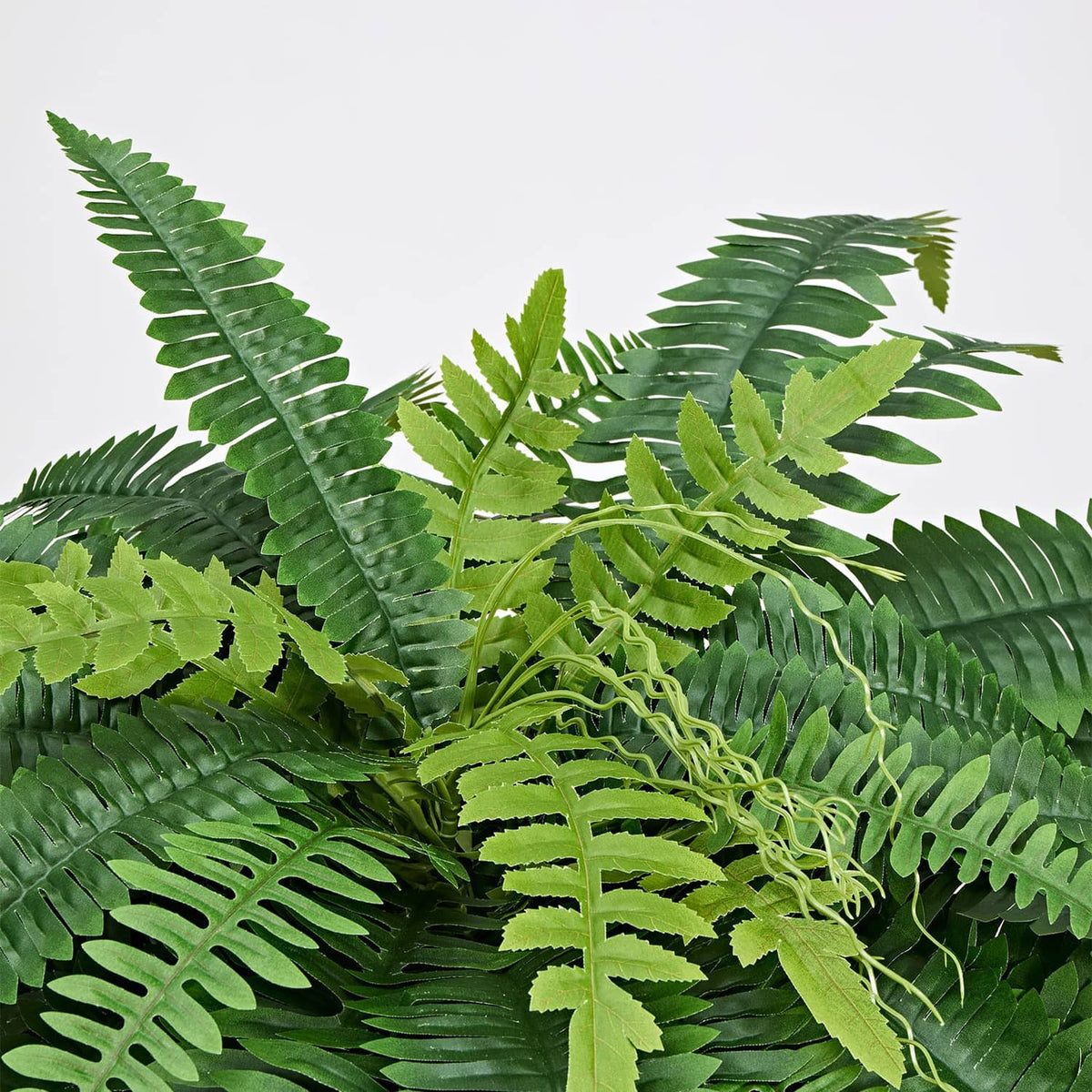 Artificial fern foliage close-up with dark and light green fronds