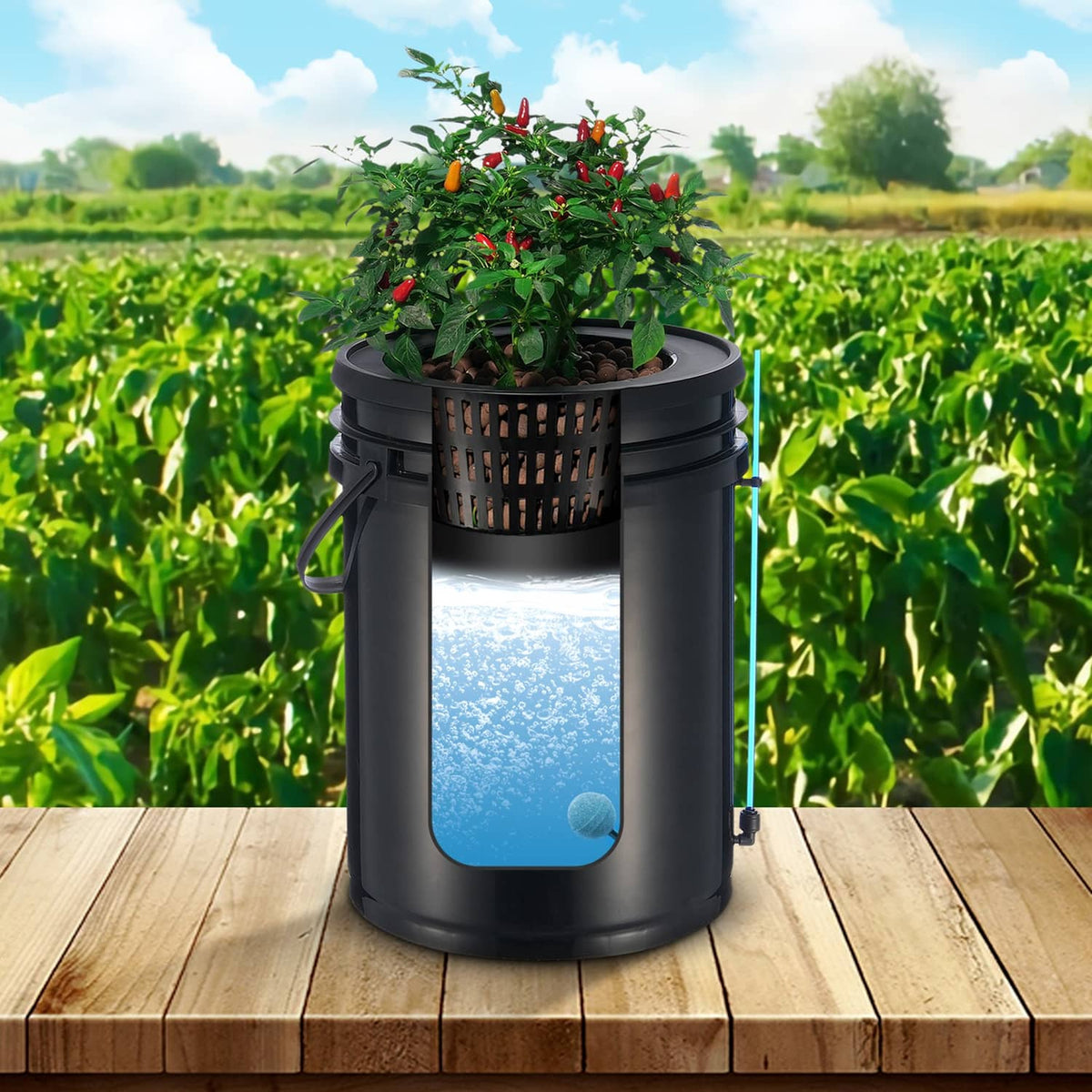 Black DWC hydroponic grow bucket with planted leafy greens and water reservoir