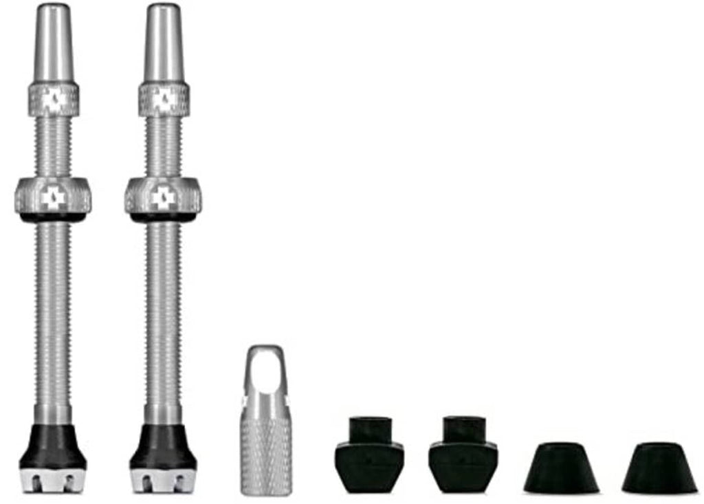 Tubeless Presta valves: 2 silver 44mm tubes with included caps and black sealing bases