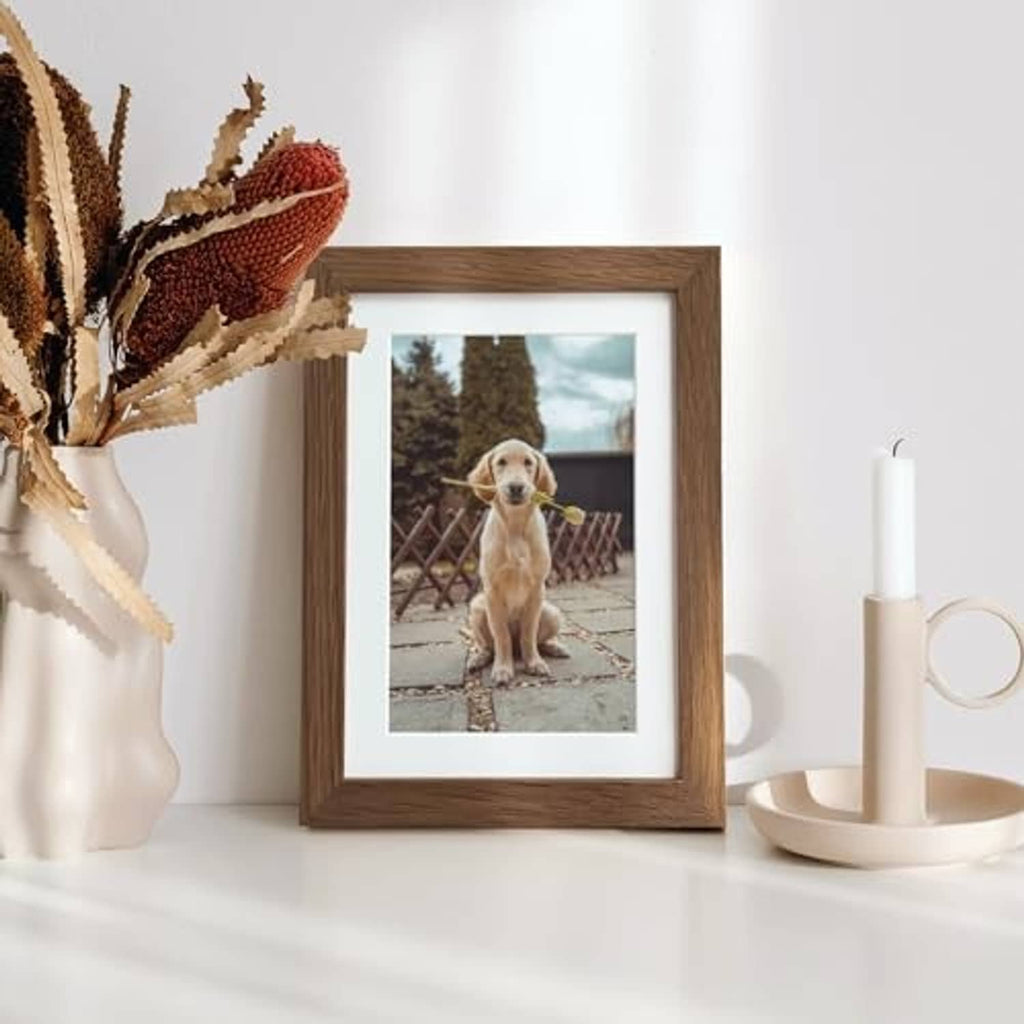Walnut oak 5x7 photo frame with white mat, featuring a dog portrait