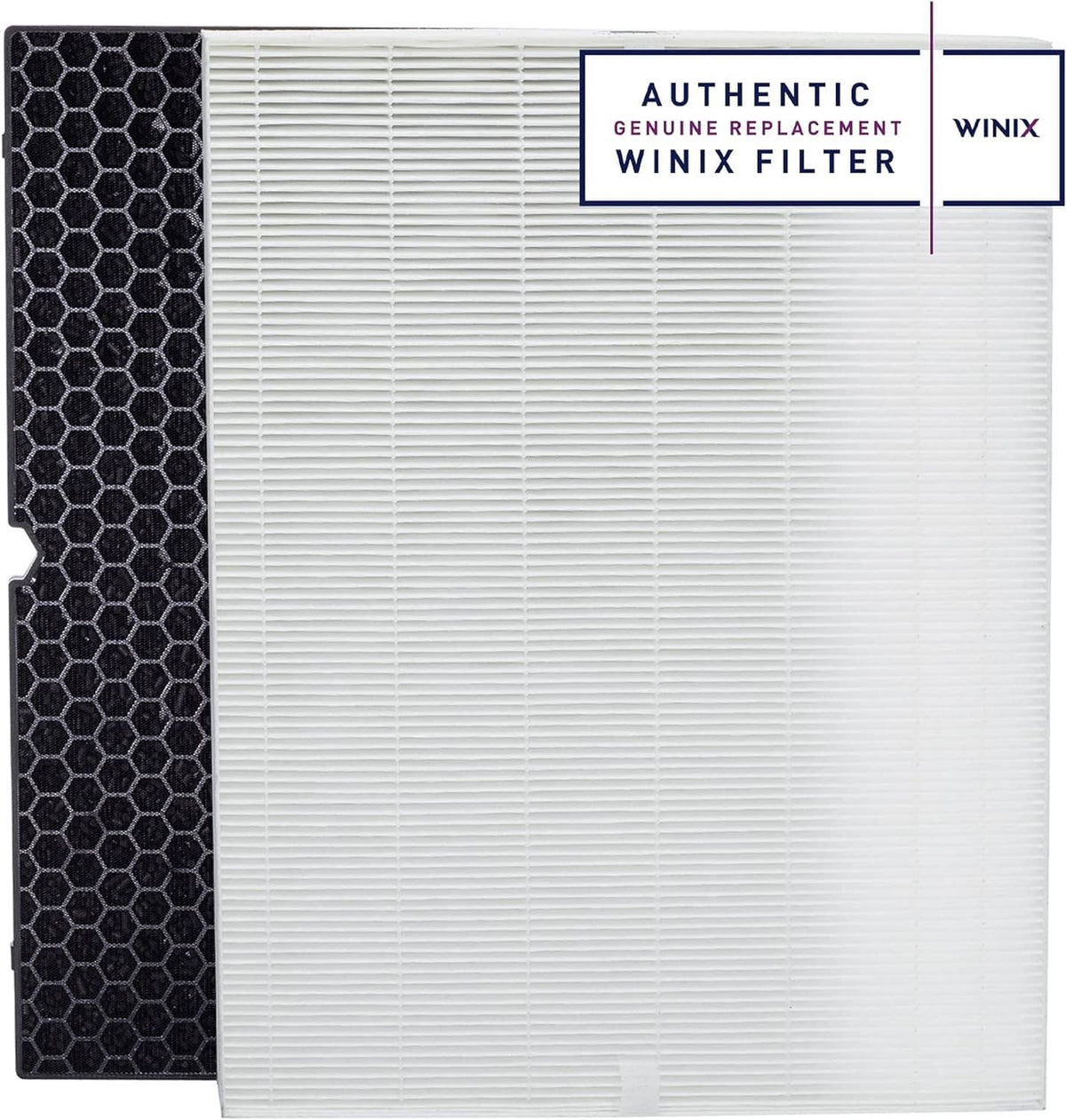Winix Replacement Filter H for 5500-2 air purifier, white HEPA-style panel with dark edges
