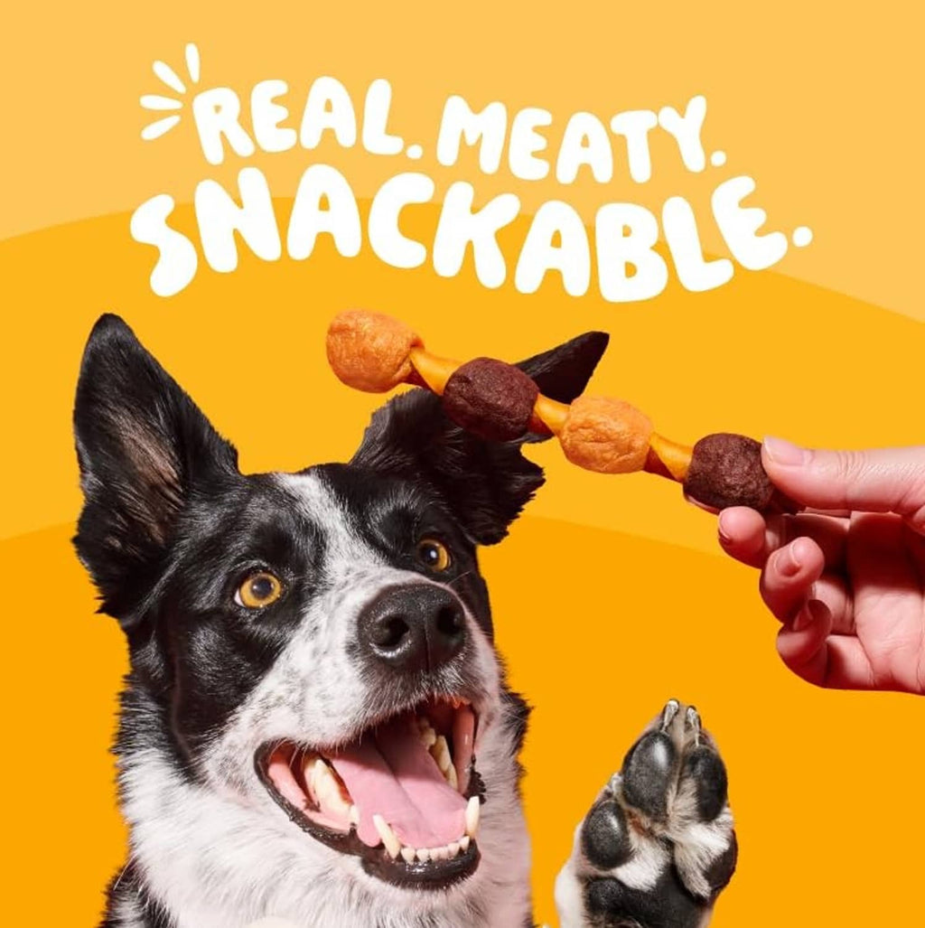 Dog chew kabob snack held out toward a black-and-white dog