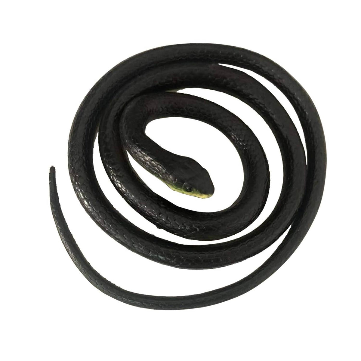Black rubber toy snake coiled in a spiral with small lifelike head