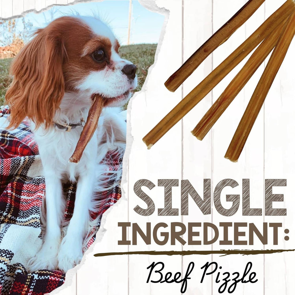 Dog chewing thin bully stick treat on leash-free training mat, single ingredient beef pizzles
