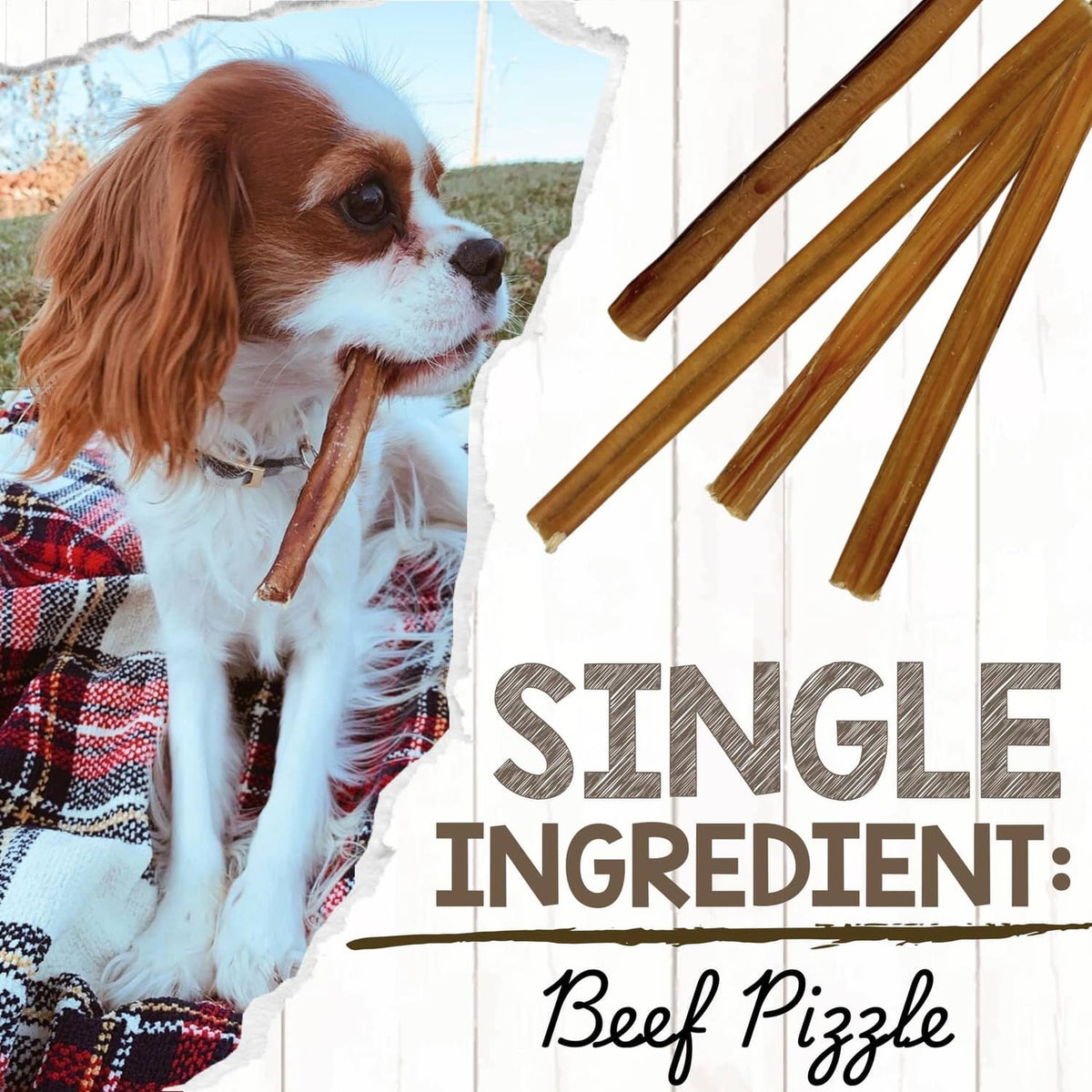Dog chewing thin bully stick treat on leash-free training mat, single ingredient beef pizzles
