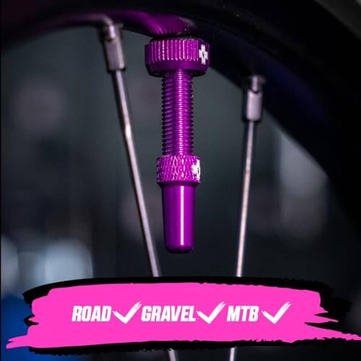 Purple Presta tubeless valve stem with protective cap, mounted in wheel