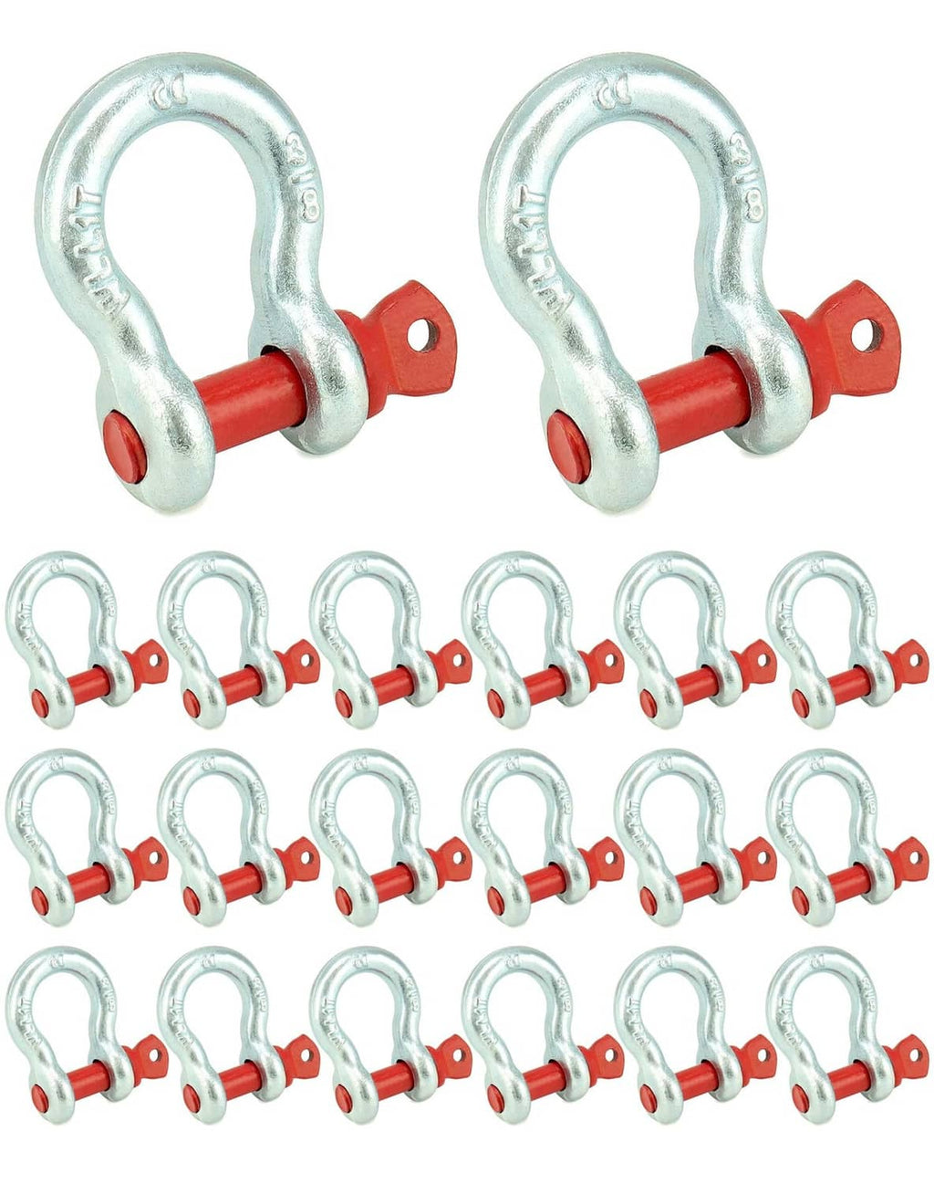 Galvanized screw pin shackle with red pin, D-ring anchor for secure tie-downs