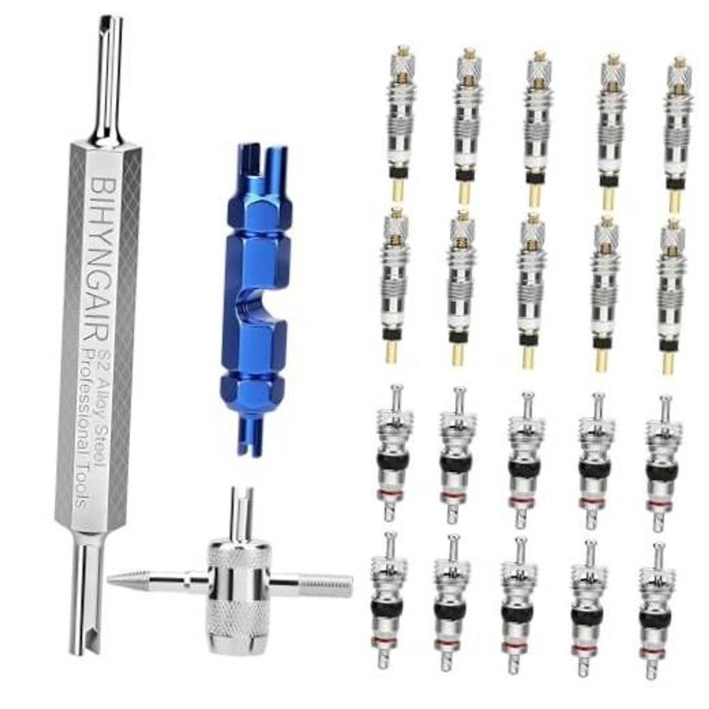 Valve core removal tool kit with blue and silver tools and mixed Presta/Schrader valve cores