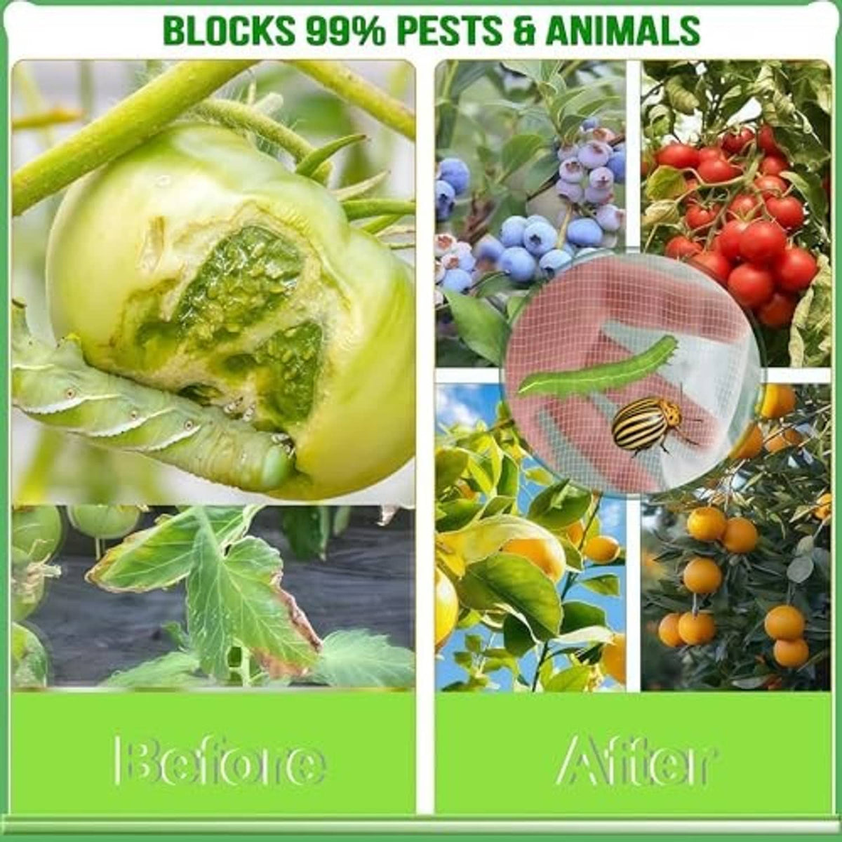Fruit tree netting barrier over plants, with insect and animal protection concept