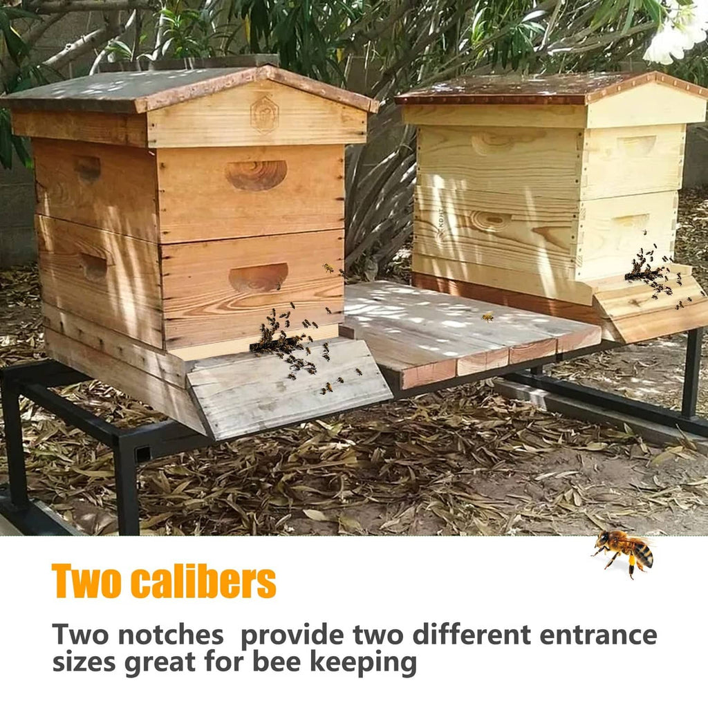 Two wooden beehives with slatted entrance reducers mounted at the openings