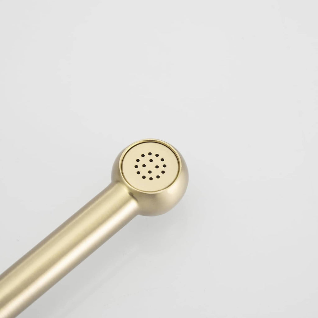 Round gold bidet sprayer nozzle with multiple jet holes on the shower head