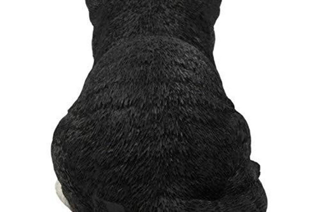 Sleeping cat statue rear view, black body with subtle white underside accents