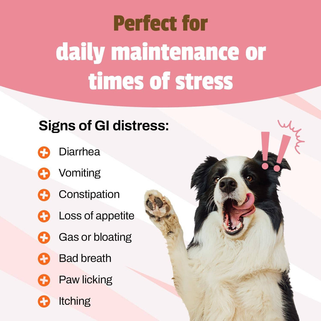Probiotic dog supplement infographic with black-and-white dog and GI distress signs