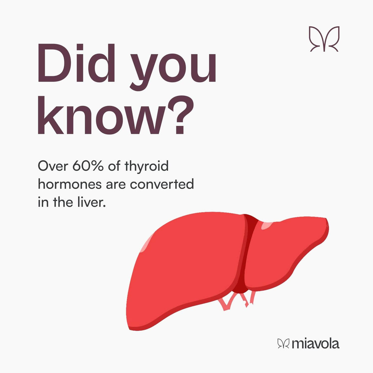 Infographic card with 'Did you know?' text, liver and thyroid conversion graphic and miavola mark