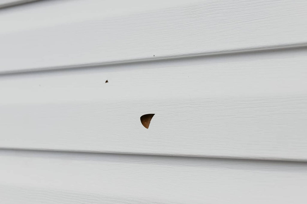 Mendyl vinyl siding repair: small patched area set into white vinyl siding