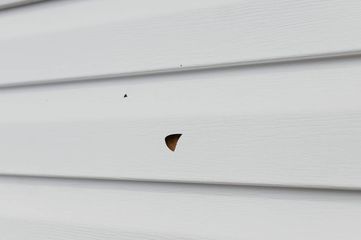 Mendyl vinyl siding repair: small patched area set into white vinyl siding