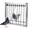Stainless steel pigeon trap with wire bars and hinged door frame