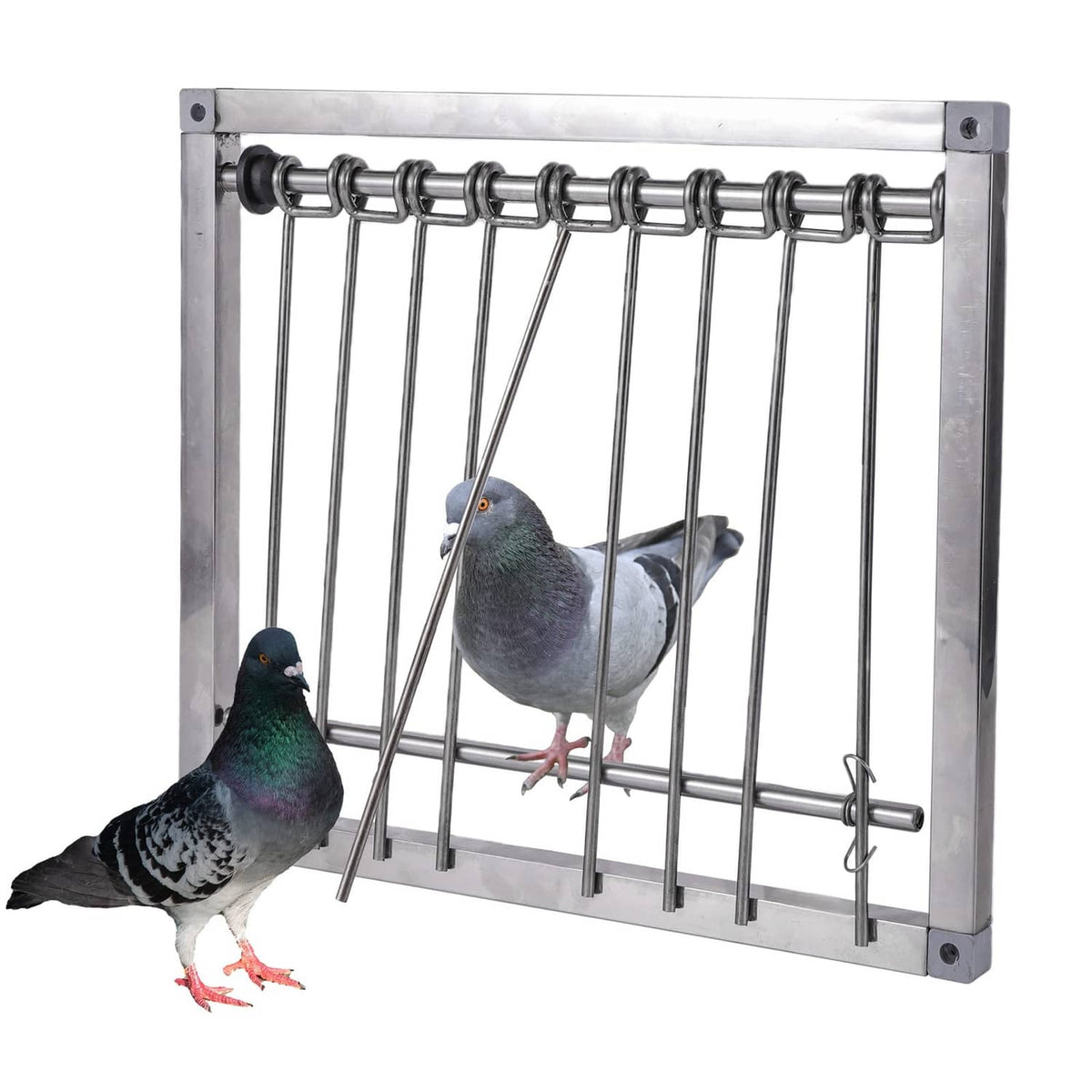 Stainless steel pigeon trap with wire bars and hinged door frame