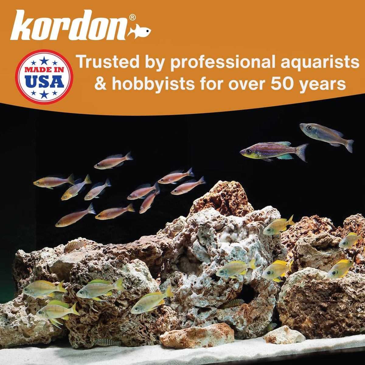 Kordon aquarium conditioner promotional graphic with fish over coral reef