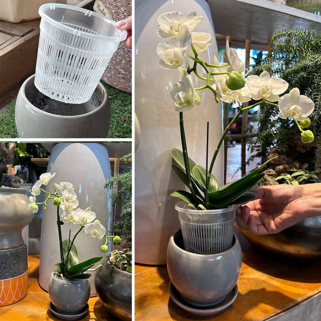 Clear vented orchid pot with gray slotted sides being placed into a larger planter