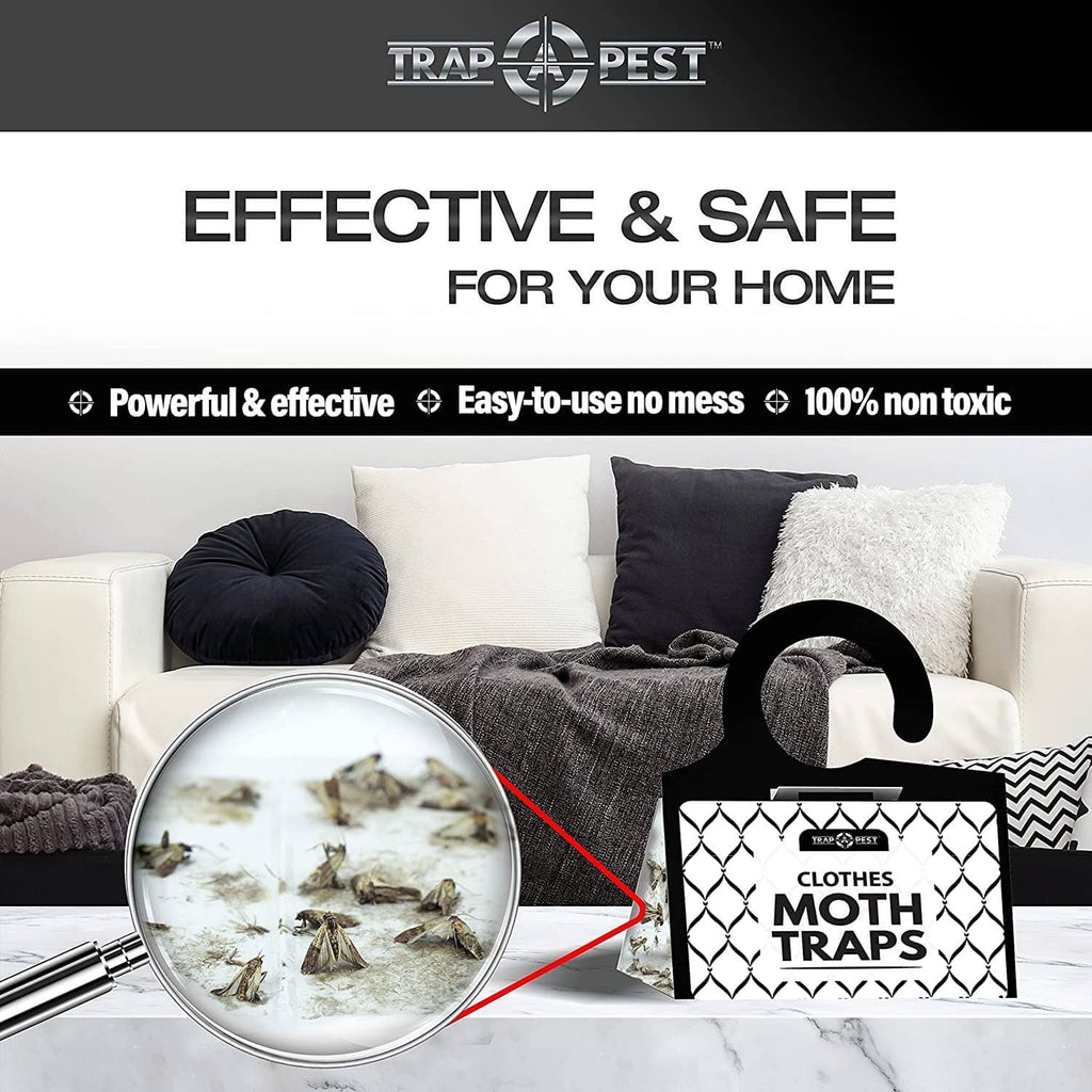 Clothes moth trap card with pheromone lures, black and white