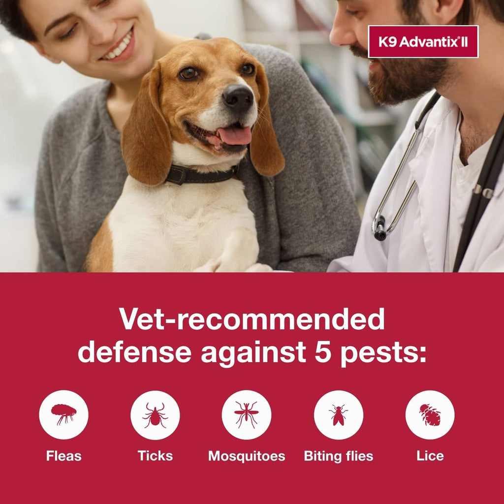 K9 Advantix II topical flea and tick treatment with dog and veterinarian