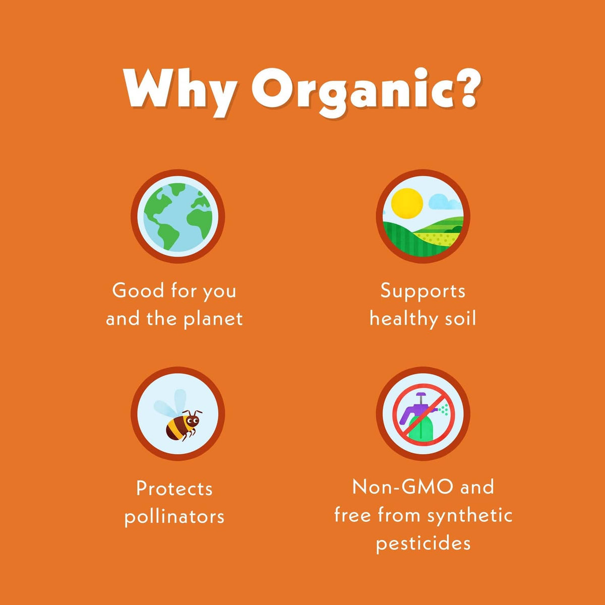 Organic food pouch concept graphic reading “Why Organic?” with four circular icons