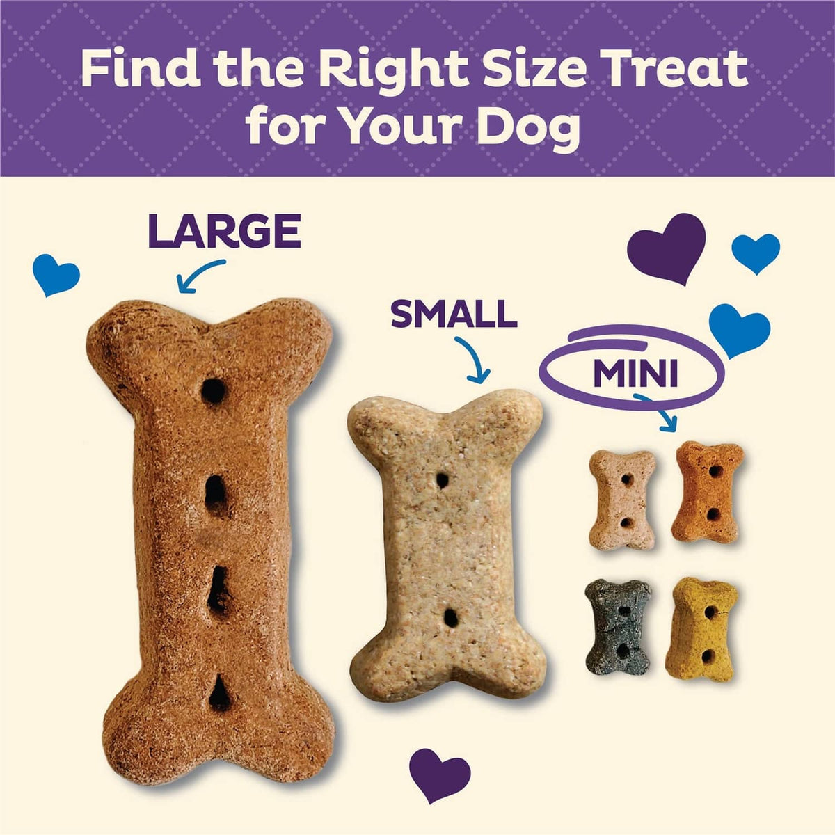 Large, small, and mini bone-shaped dog biscuits shown in an assortment guide