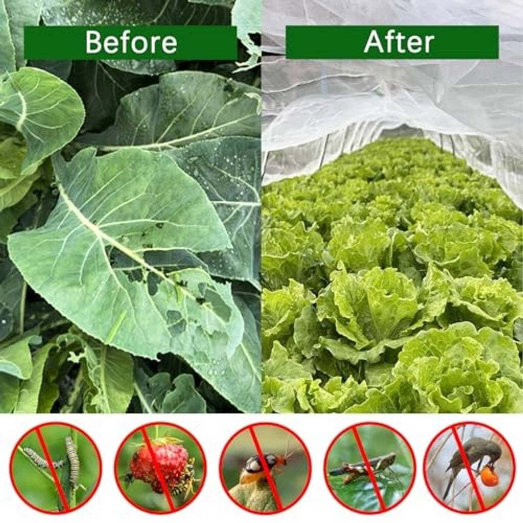 Ultra-fine clear mesh netting covering a raised bed of leafy greens for plant protection