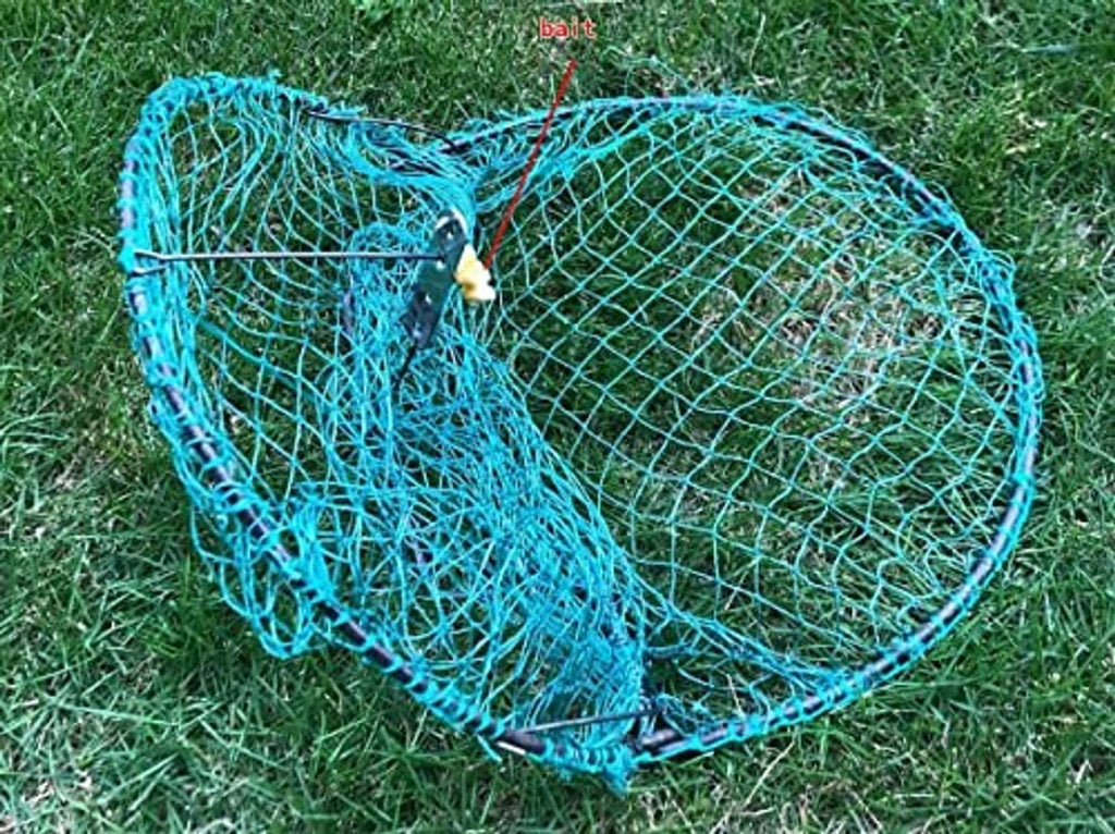 Blue wire humane live bird trap with bait perch and pigeon inside on grass
