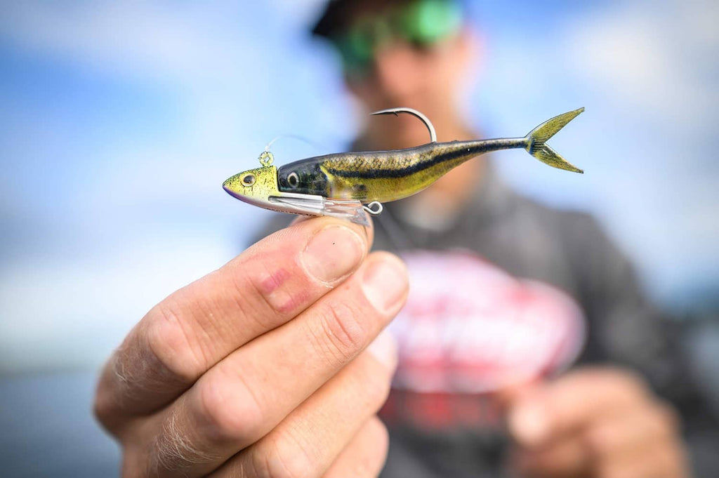 Hand holding a shiner minnow fishing lure, gold and silver body with hooks