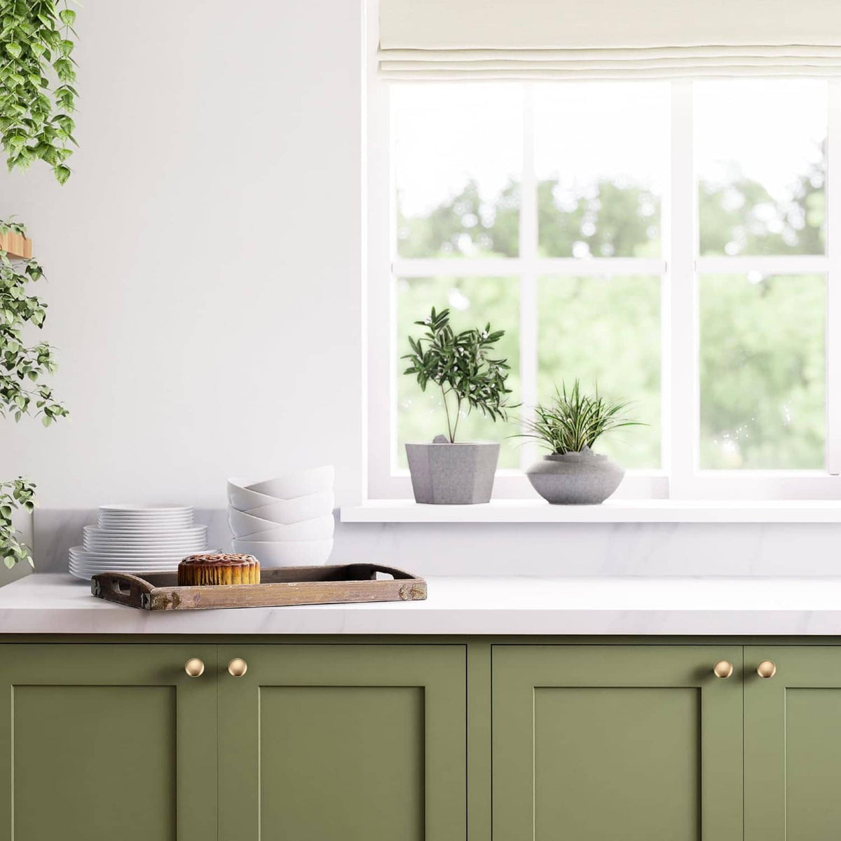 Champagne bronze round cabinet knobs on sage green kitchen cabinet doors