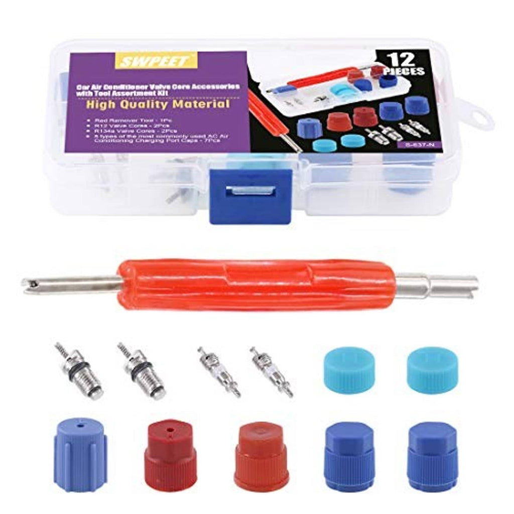 12-piece AC valve core accessories kit in storage case with caps and remover tool