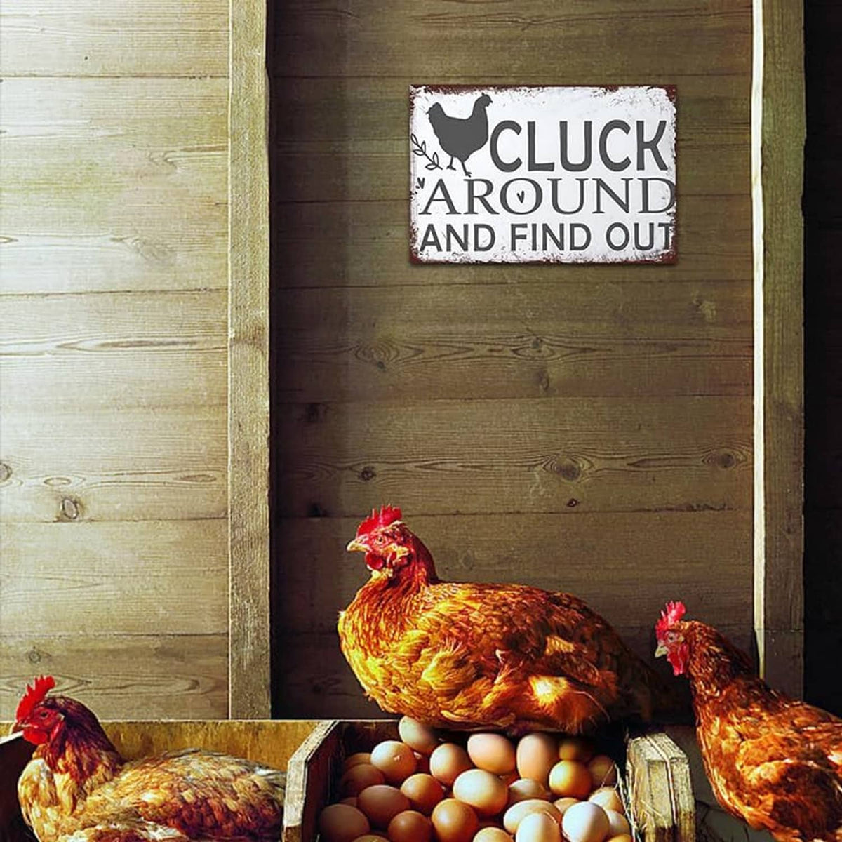 Barn coop sign reading 'Cluck Around And Find Out' above eggs with roosters