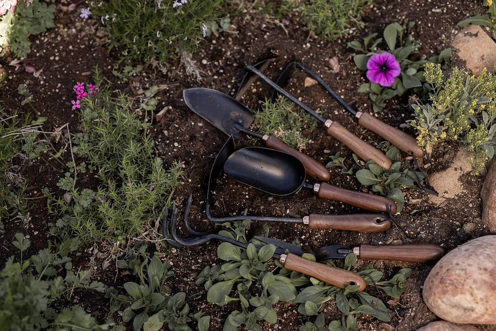 Garden scoop shovel with multiple shovels in soil near flowers and rocks