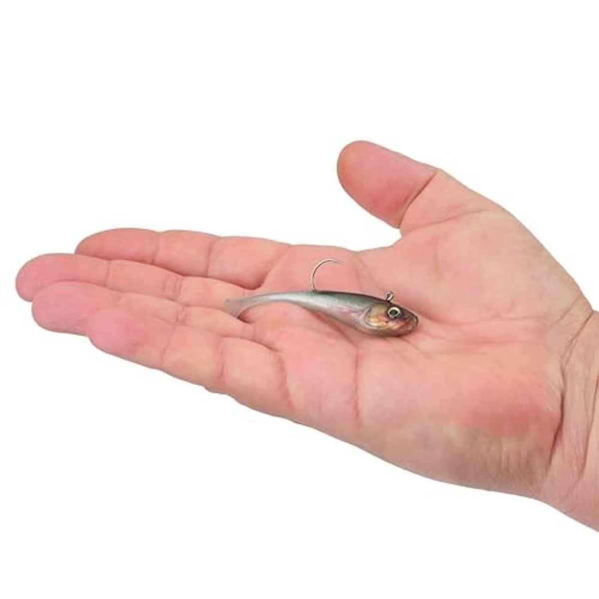 Soft plastic minnow lure in hand, silver belly and green-blue back