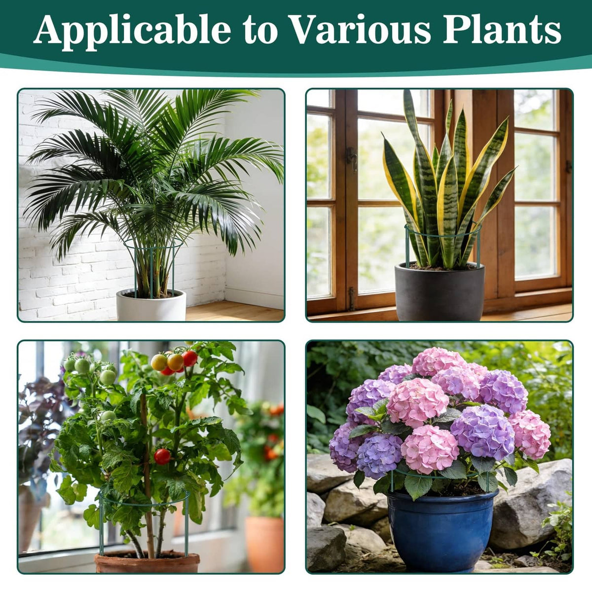 Green plant support stakes shown for different potted plants and garden flowers