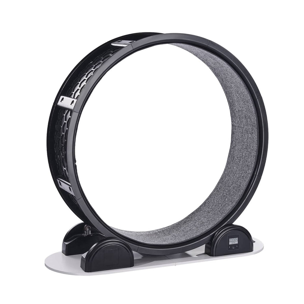 Black cat exercise wheel with grey running surface and adjustable base